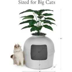 Bundle & Bliss Secret Litter Box Hidden Cat Litter Box Plant -Cat Pet Supplies 897430 PT5. AC SS1800 V1687891877