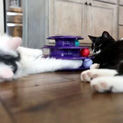 Quirky Kitty Three Layer Ball Track Cat Toy -Cat Pet Supplies 900102 PT4. AC SS1800 V1689010871