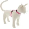 LupinePet Reflective H-style Cat Harness, Small: 12 To 20-in Chest -Cat Pet Supplies 911142 MAIN. AC SS1800 V1689366313