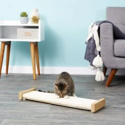 SmartCat The Ultimate 32-in Sisal Cat Scratching Post & SmartCat Bootsie's Combination Scratcher 19 SmartCat The Ultimate 32-in Sisal Cat Scratching Post & SmartCat Bootsie's Combination Scratcher -Cat Pet Supplies 933614 PT8. AC SS1800 V1692304039