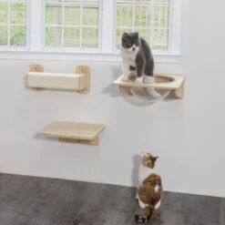 Coziwow 3 Pieces Wall Mounted Cat Perch Set -Cat Pet Supplies 941694 PT5. AC SS1800 V1700859193