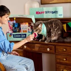 Goody Box Birthday Cat Toys, Treats & Collar & PetCakes Turkey Flavor Microwavable Birthday Cake Mix Kit With Fish Shaped Pan Cat Treats, 5-oz Bag -Cat Pet Supplies 947294 PT4. AC SS1800 V1693925027