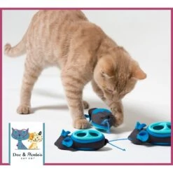 Nina Ottosson By Outward Hound Buggin' Out Puzzle & Play Cat Toy & Doc & Phoebe's Cat Co. Indoor Hunting Cat Feeder Kit 19 Nina Ottosson By Outward Hound Buggin' Out Puzzle & Play Cat Toy & Doc & Phoebe's Cat Co. Indoor Hunting Cat Feeder Kit -Cat Pet Supplies 947542 PT8. AC SS1800 V1693600221
