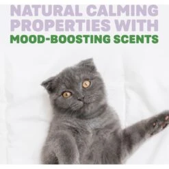 Naturally Fresh Harmony Lavender & Bamboo Scented Clumping Cat Litter 15 Naturally Fresh Harmony Lavender & Bamboo Scented Clumping Cat Litter -Cat Pet Supplies 961182 PT4. AC SS1800 V1697727174