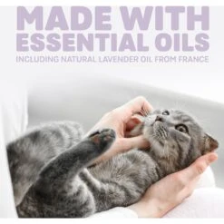 Naturally Fresh Harmony Lavender & Bamboo Scented Clumping Cat Litter 16 Naturally Fresh Harmony Lavender & Bamboo Scented Clumping Cat Litter -Cat Pet Supplies 961182 PT5. AC SS1800 V1697726330