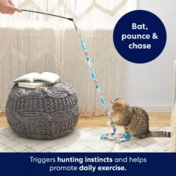 Frisco Fabric Teaser Wand Cat Toy & Frisco Bird With Feathers Teaser Wand Cat Toy With Catnip -Cat Pet Supplies 962094 PT3. AC SS1800 V1694782977