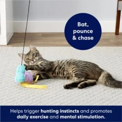 Frisco Fabric Teaser Wand Cat Toy & Frisco Bird With Feathers Teaser Wand Cat Toy With Catnip -Cat Pet Supplies 962094 PT8. AC SS1800 V1694782976