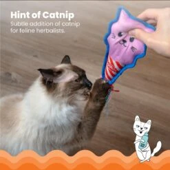 Catstages Kitt'n Candy Kicker Pink Interactive Catnip Cat Toy, Pink -Cat Pet Supplies 976198 PT2. AC SS1800 V1696615465