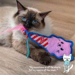 Catstages Kitt'n Candy Kicker Pink Interactive Catnip Cat Toy, Pink -Cat Pet Supplies 976198 PT5. AC SS1800 V1696615406