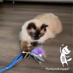 Catstages Tail Teaser Air Prey Play Wand Cat Toy, Blue -Cat Pet Supplies 976214 PT7. AC SS1800 V1696615403